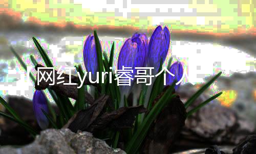 【网红yuri睿哥个人资料】梗概是什么意思啊