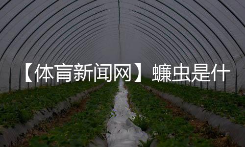 【体肓新闻网】蠊虫是什么虫