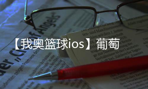 【我奥篮球ios】葡萄柚可以放冰箱吗