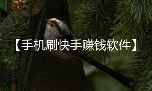 【手机刷快手赚钱软件】跑步热菜什么梗的视频