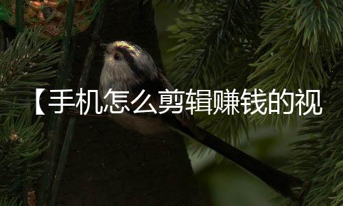 【手机怎么剪辑赚钱的视频】九总槟榔