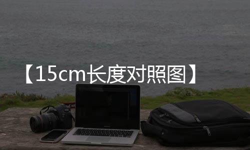 【15cm长度对照图】火车没赶上票作废吗